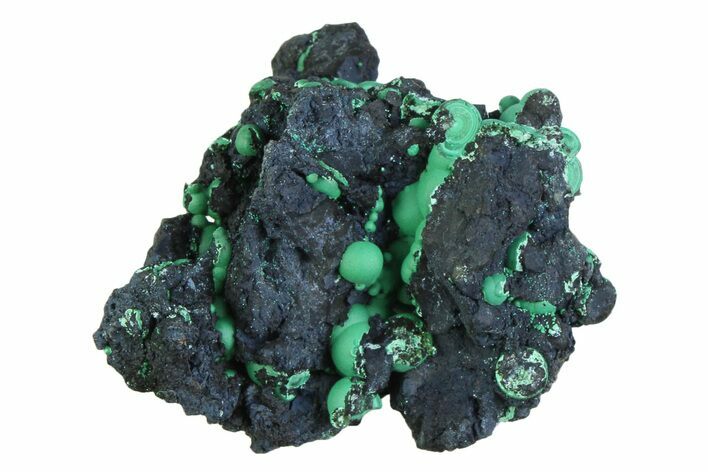 Blue-Green Botryoidal Chrysocolla - Planet Mine, Arizona #358288